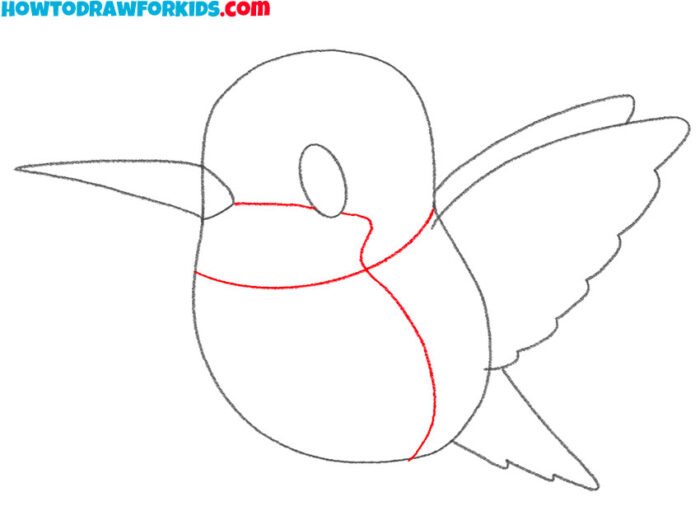 How to Draw an Easy Hummingbird Drawing Tutorial For Kids