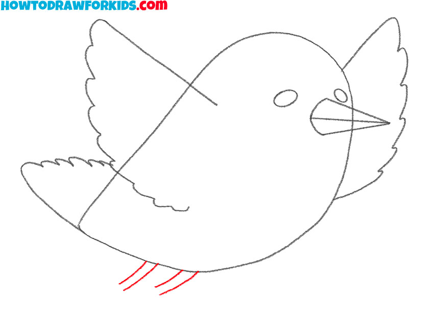 how to draw a funny cartoon bird