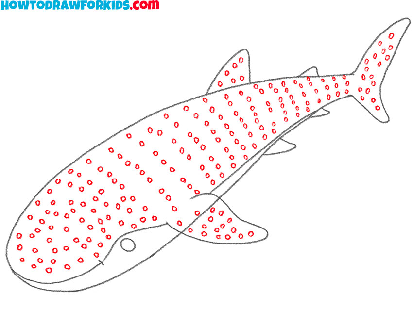 how to draw a realistic whale shark