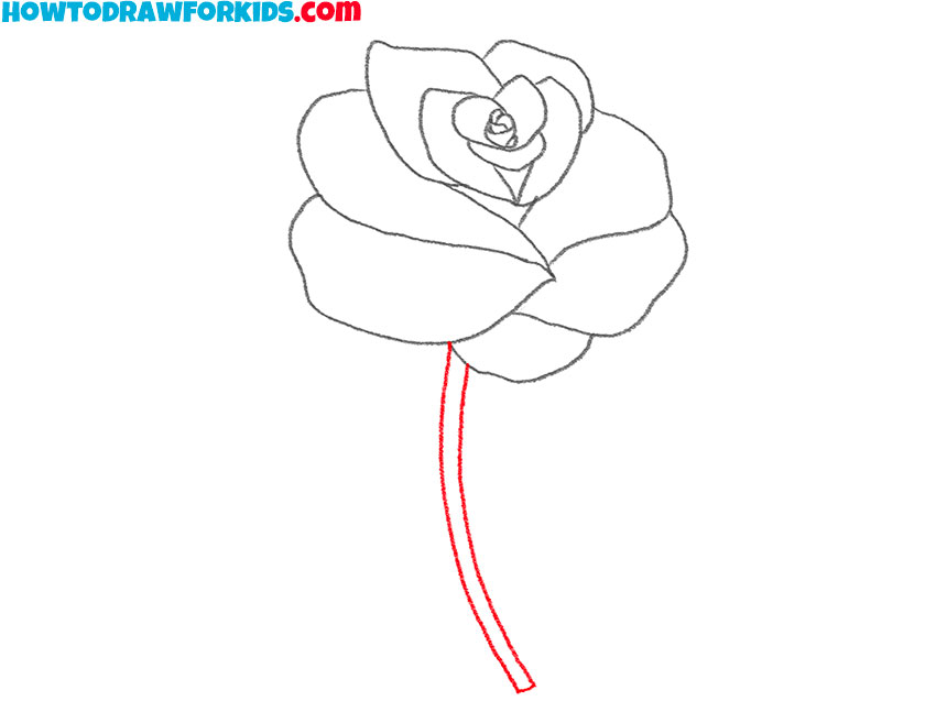 rose with thorns drawing tutorial