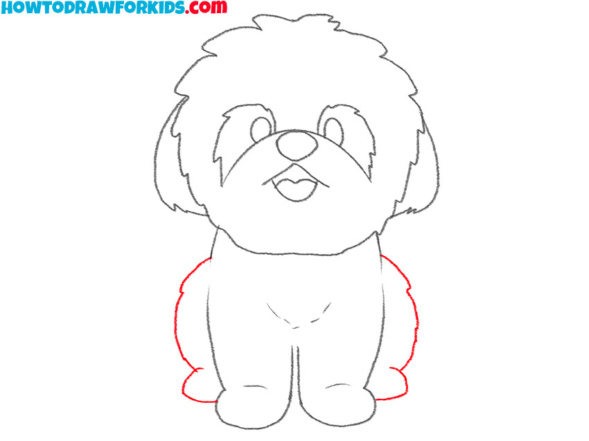how to draw a realistic shih tzu