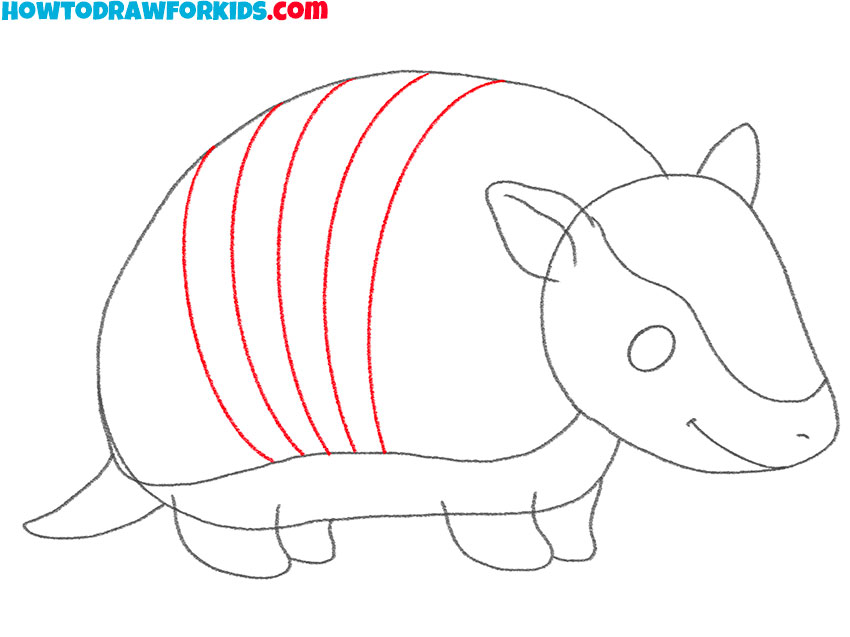 how to draw an armadillo for beginners