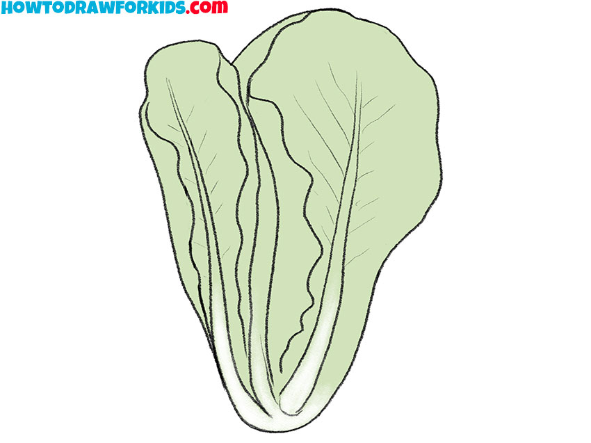 How to Draw a Lettuce - Easy Drawing Tutorial For Kids