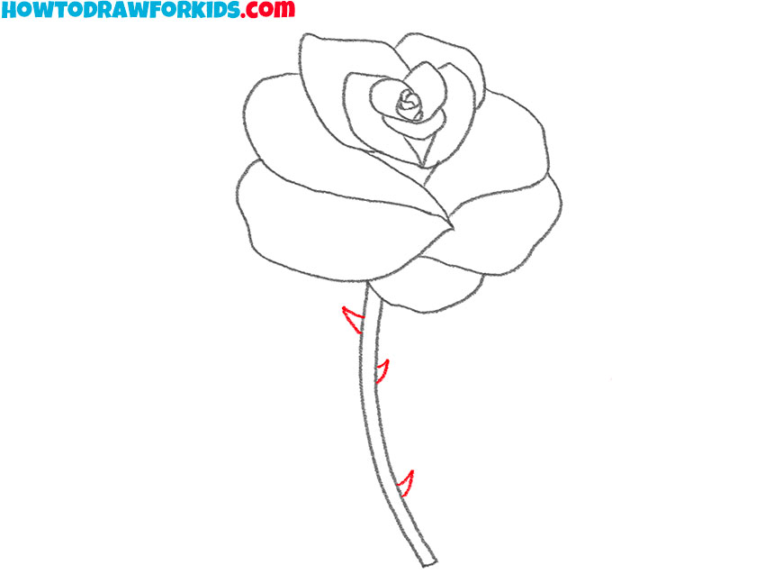 rose with thorns drawing guide
