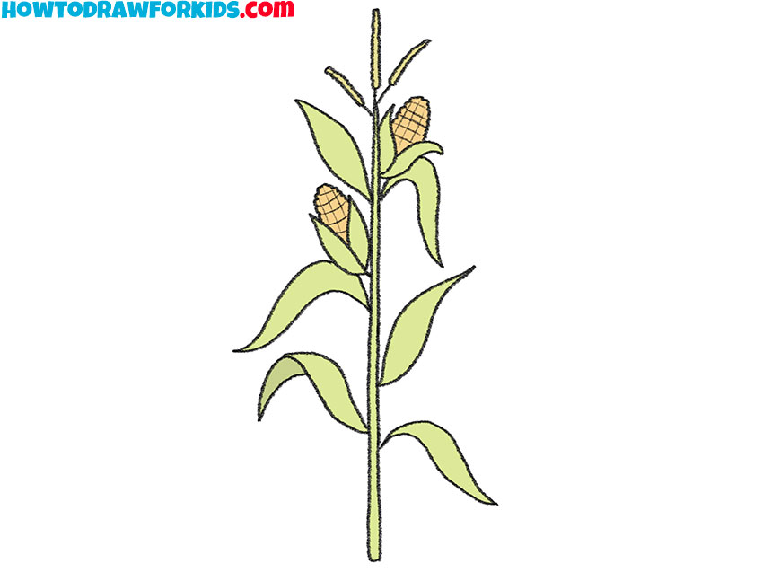 How To Draw Corn Stalks