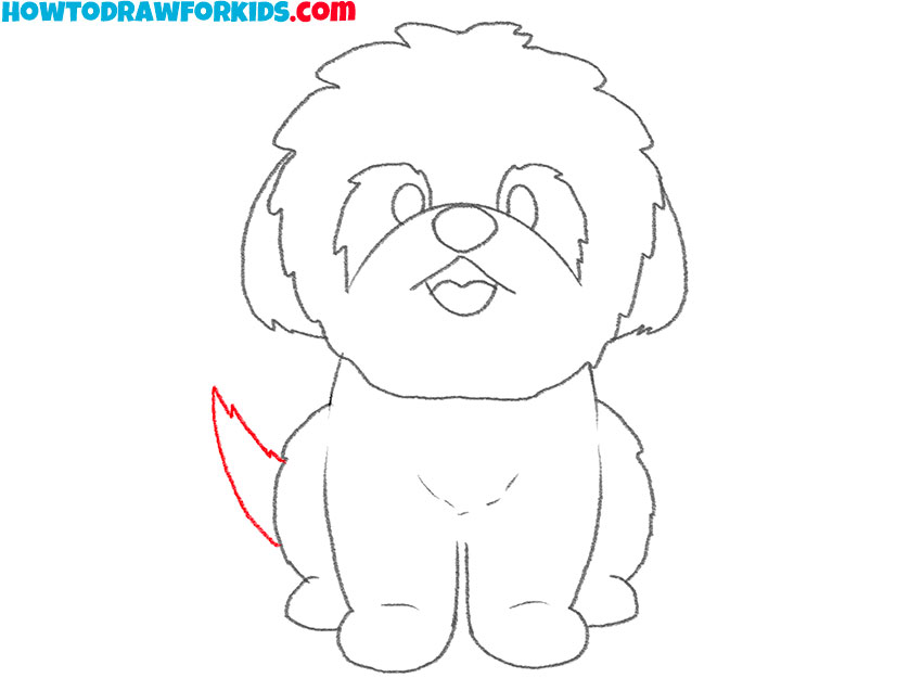 how to draw a shih tzu for kids