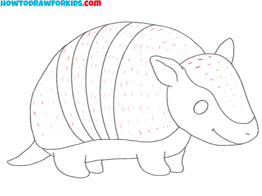 how to draw an armadillo for kindergarten