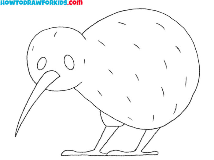 How to Draw a Kiwi Bird Easy Drawing Tutorial For Kids