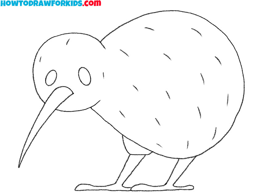 kiwi bird drawing tutorial
