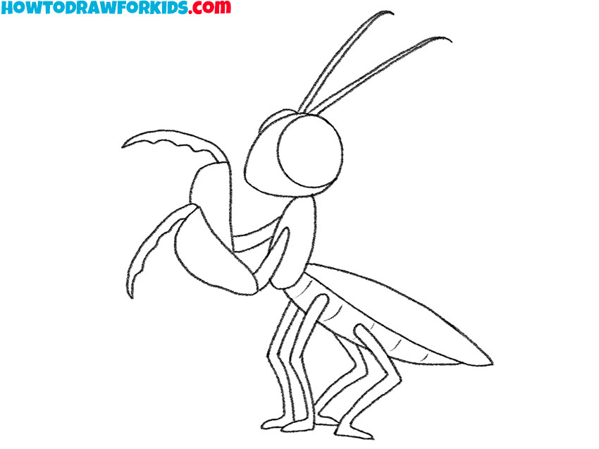 praying mantis drawing guide