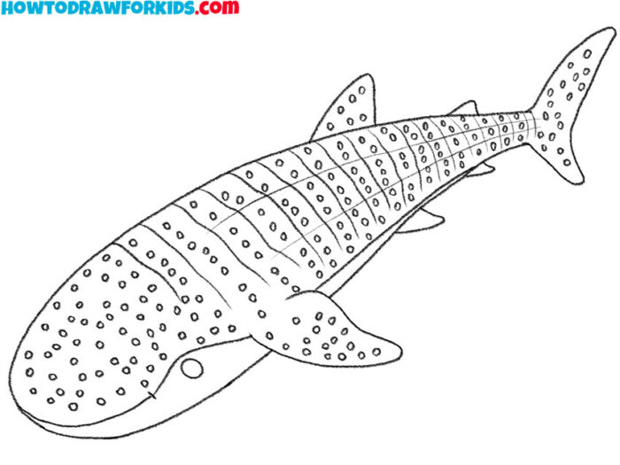 How to Draw a Whale Shark - Easy Drawing Tutorial For Kids