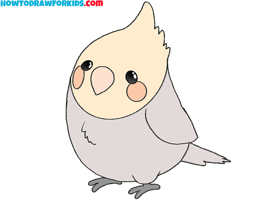 cockatiel drawing guide