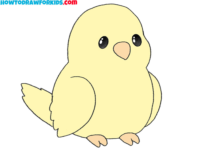 How to Draw a Cute Bird Easy Drawing Tutorial For Kids