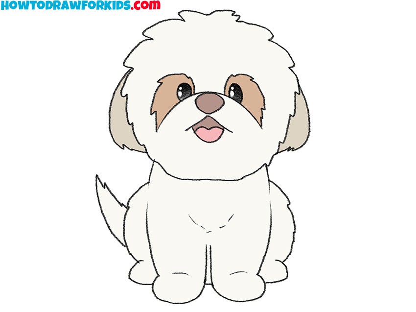 how to draw a shih tzu for beginners