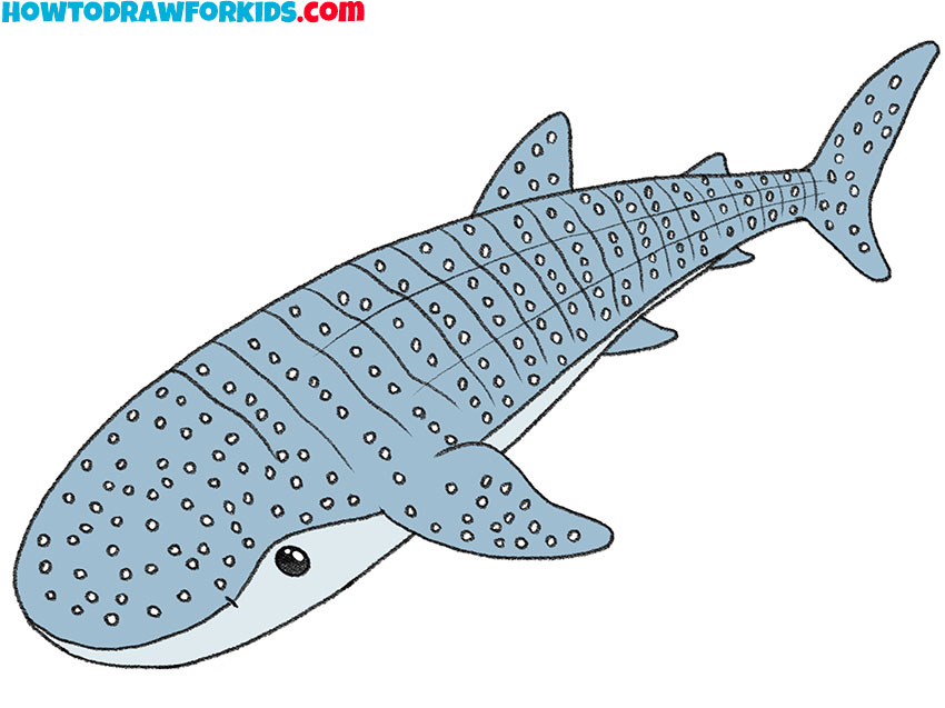 Hand drawn whale shark vector illustration line art editable, Contour style  Stock Vector | Adobe Stock