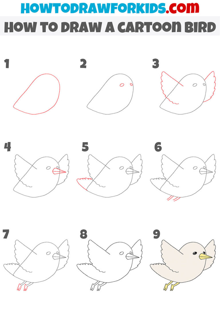 How to Draw a Cartoon Bird Step by Step Easy Drawing Tutorial