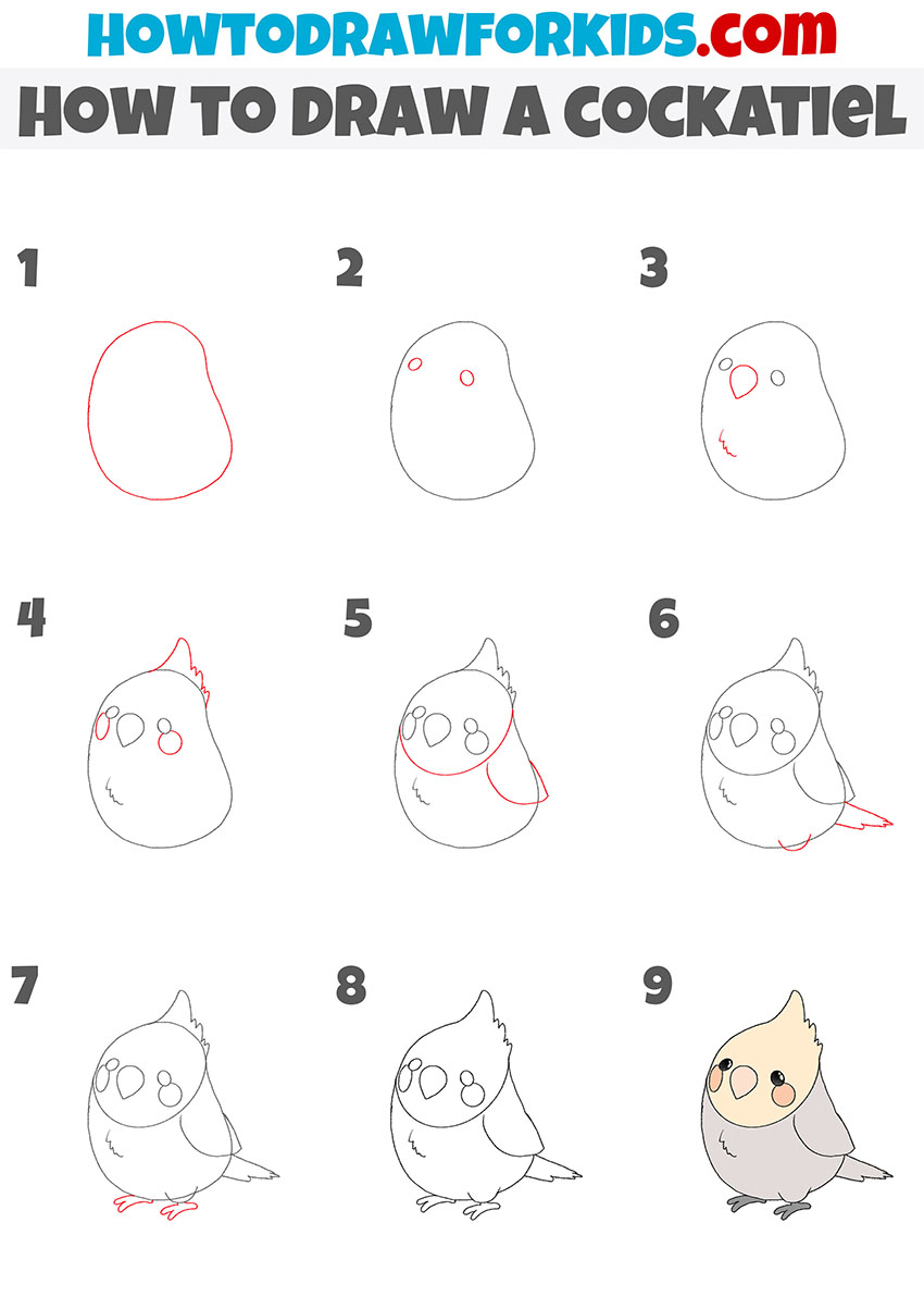 how to draw a cockatiel step by step