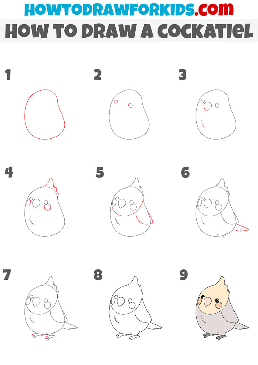 How To Draw A Cockatiel Printable Drawing Sheet By Drawingtutorials101 ...