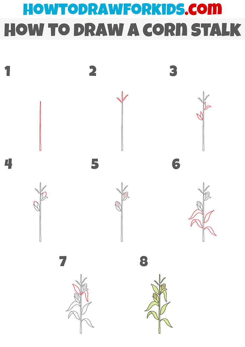 how to draw a corn stalk step by step