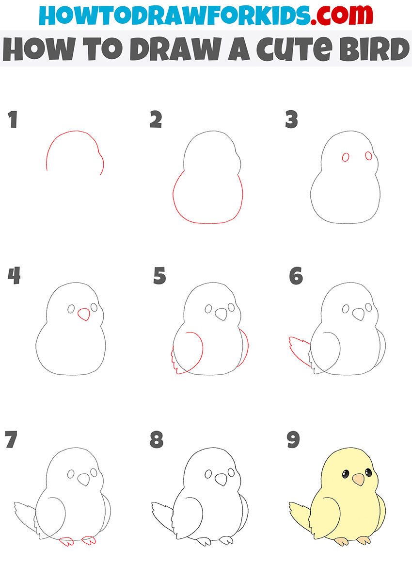 how to draw a cute bird step by step