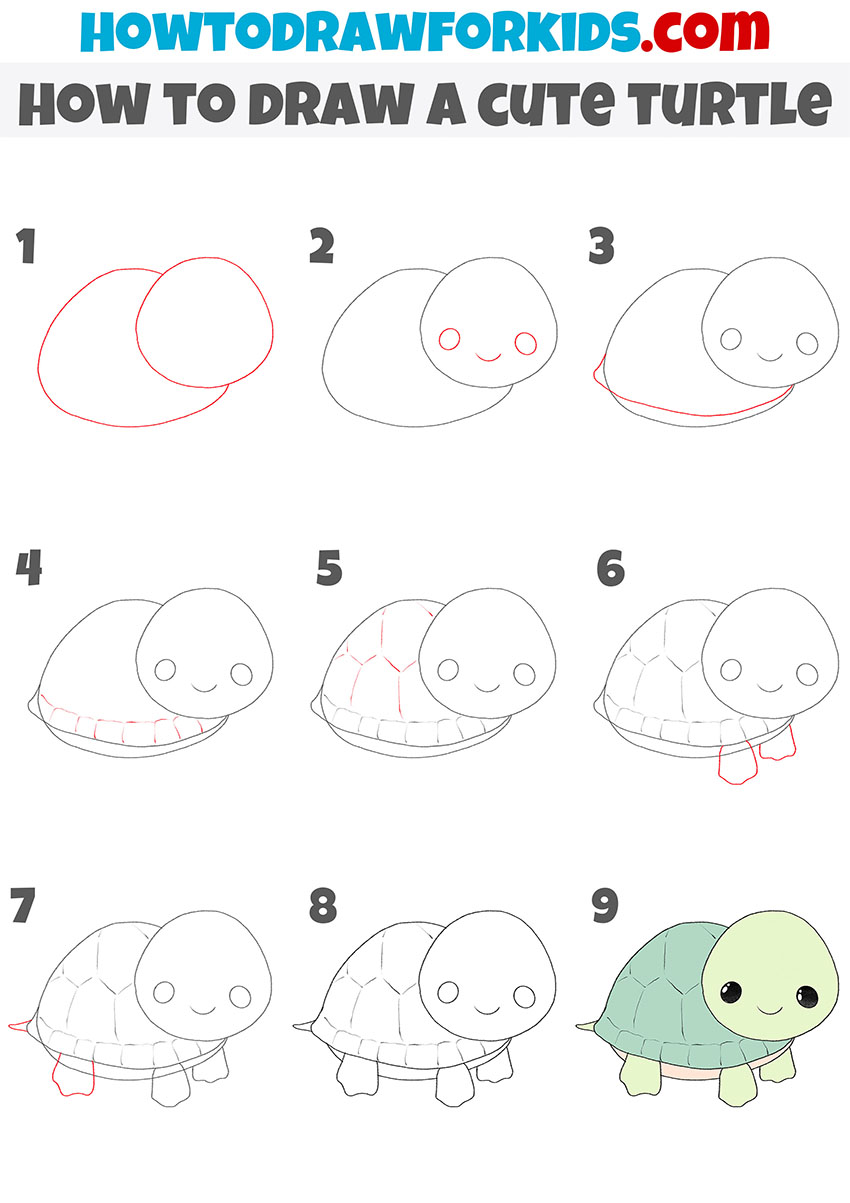 how to draw a cute turtle step by step