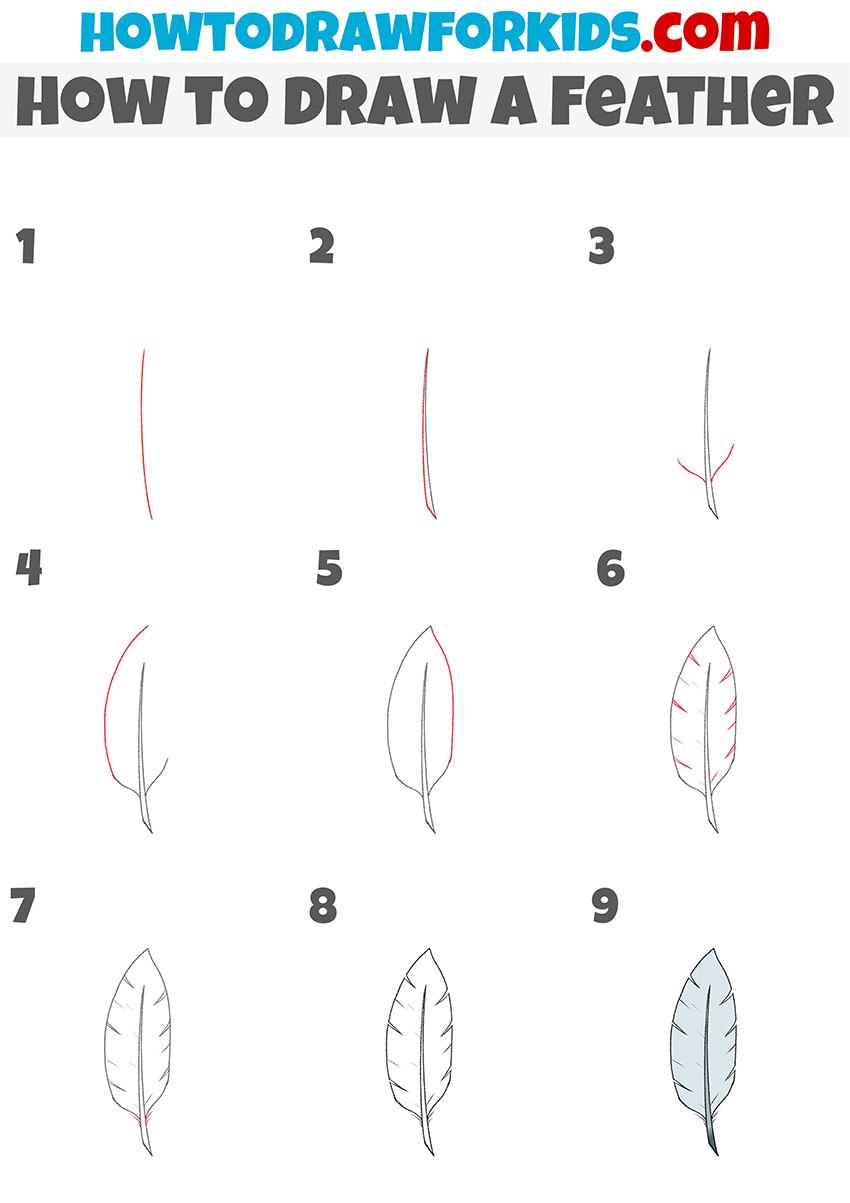 how to draw a feather step by step