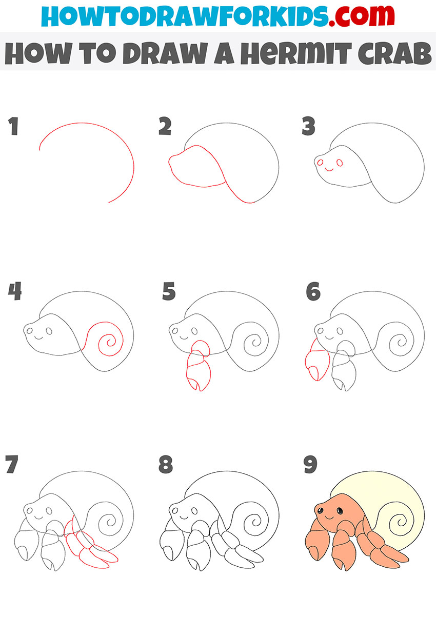 how to draw a hermit crab step by step