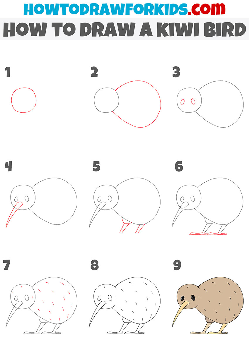 how to draw a kiwi bird step by step