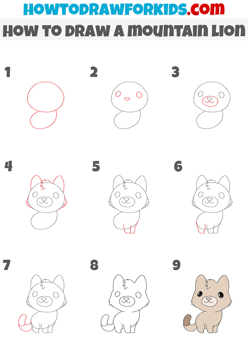 how to draw a mountain lion step by step