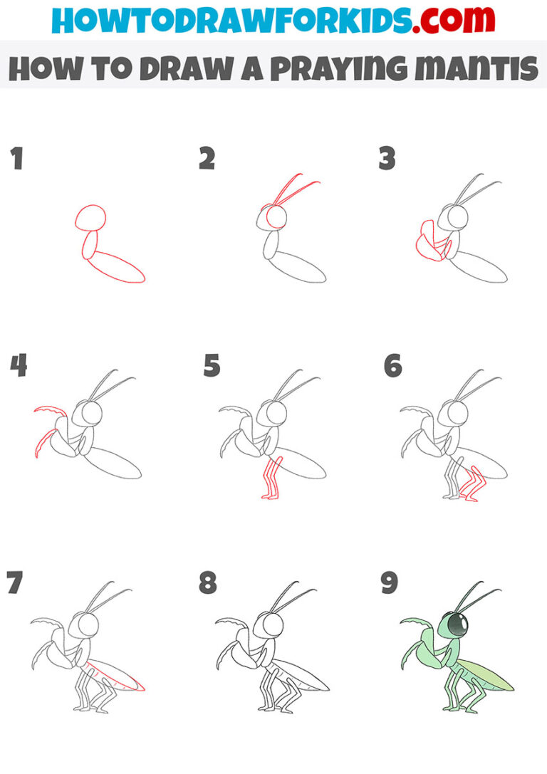 How to Draw a Praying Mantis Easy Drawing Tutorial For Kids