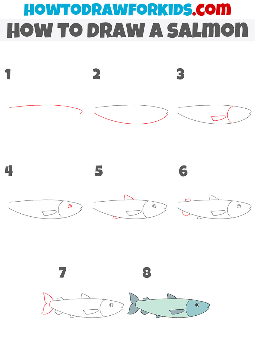 how to draw a salmon step by step