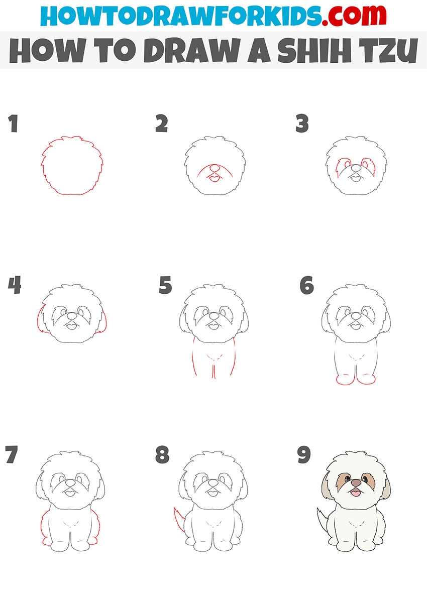 how to draw a shih tzu step by step