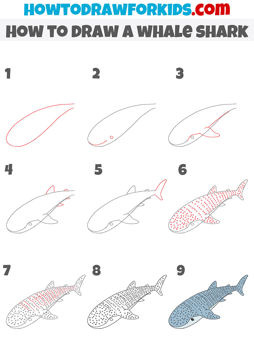 how to draw a whale shark step by step