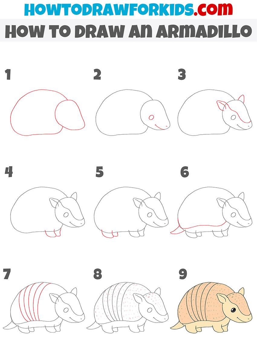 how to draw an armadillo step by step