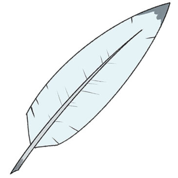 How to Draw an Easy Feather