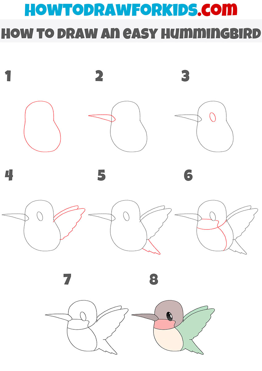 how to draw an easy hummingbird step by step