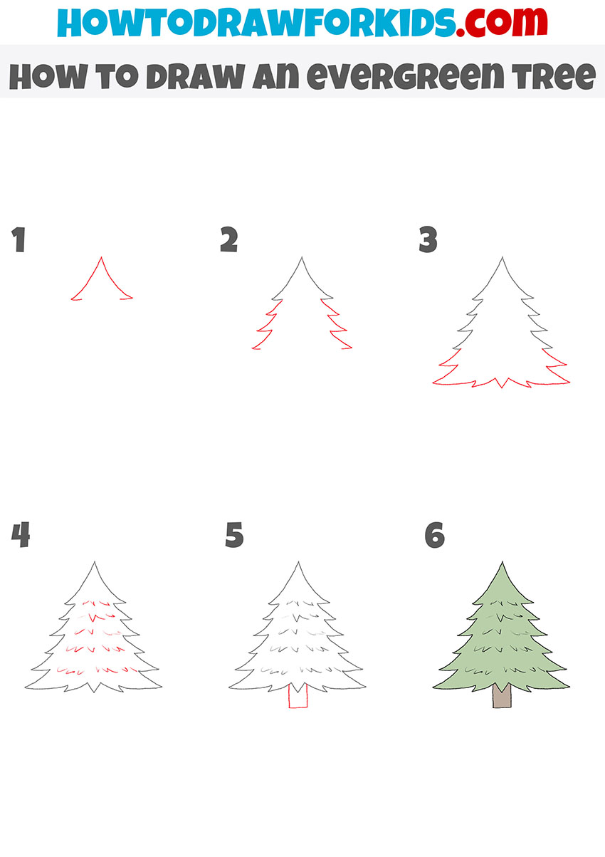 how to draw an evergreen tree step by step