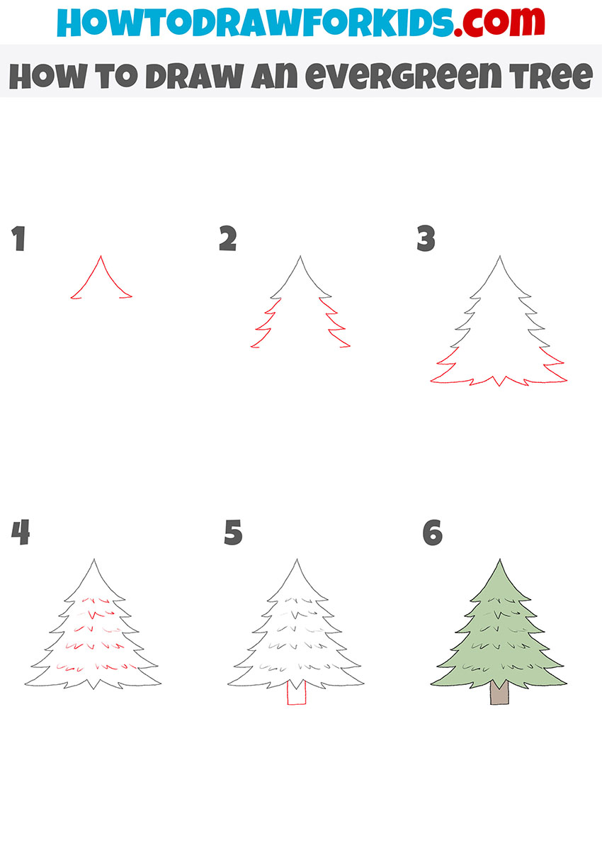 Evergreen Tree coloring page | Free Printable Coloring Pages