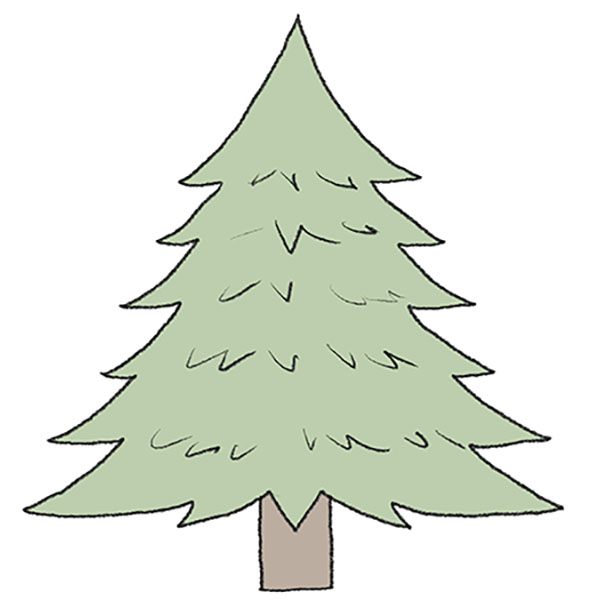 How to Draw an Evergreen Tree
