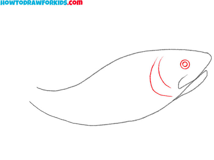 How to Draw a Trout Easy Drawing Tutorial For Kids