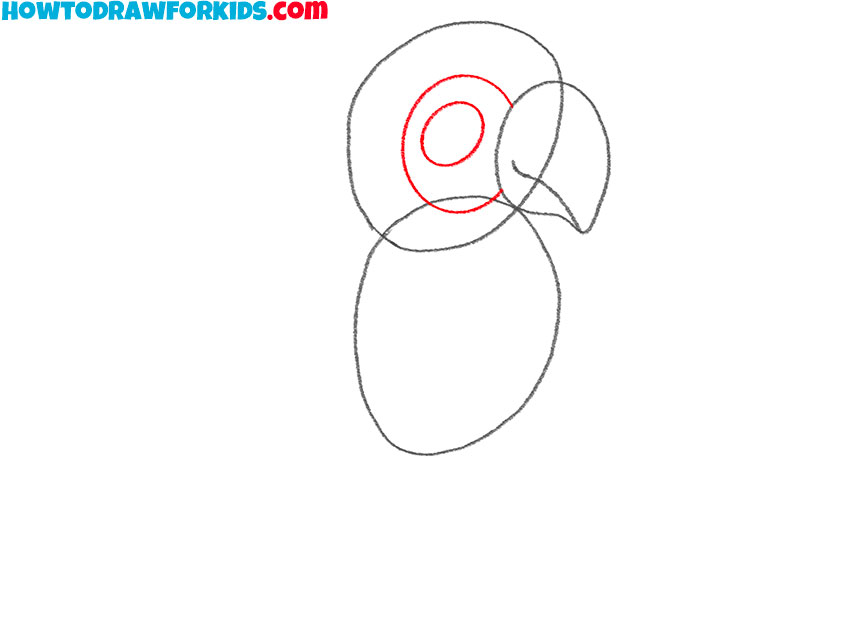 how to draw a macaw bird