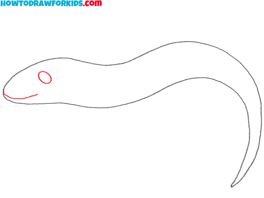 how to draw a salamander easy step by step