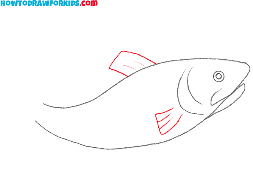 how to draw a big trout