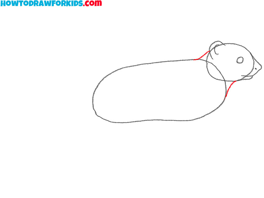 how to draw a cartoon mongoose
