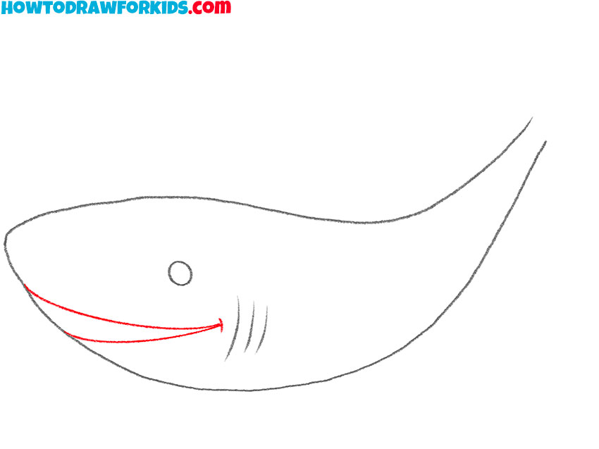 how to draw a shark art hub