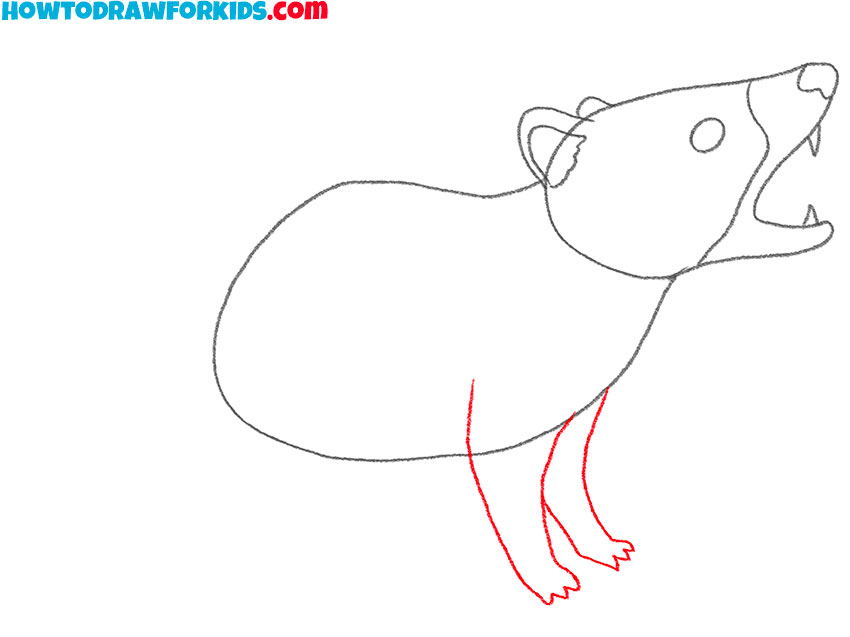 how to draw a tasmanian devil cute