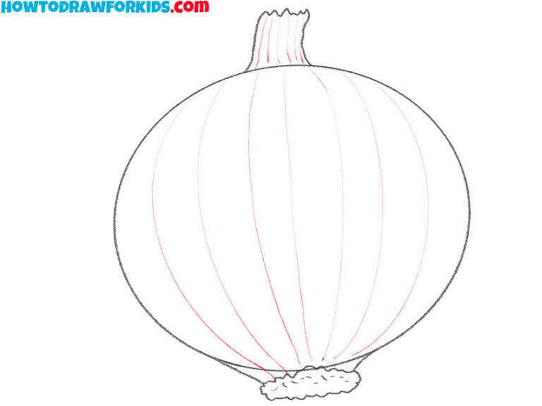 How to Draw an Onion Step by Step Drawing Tutorial For Kids