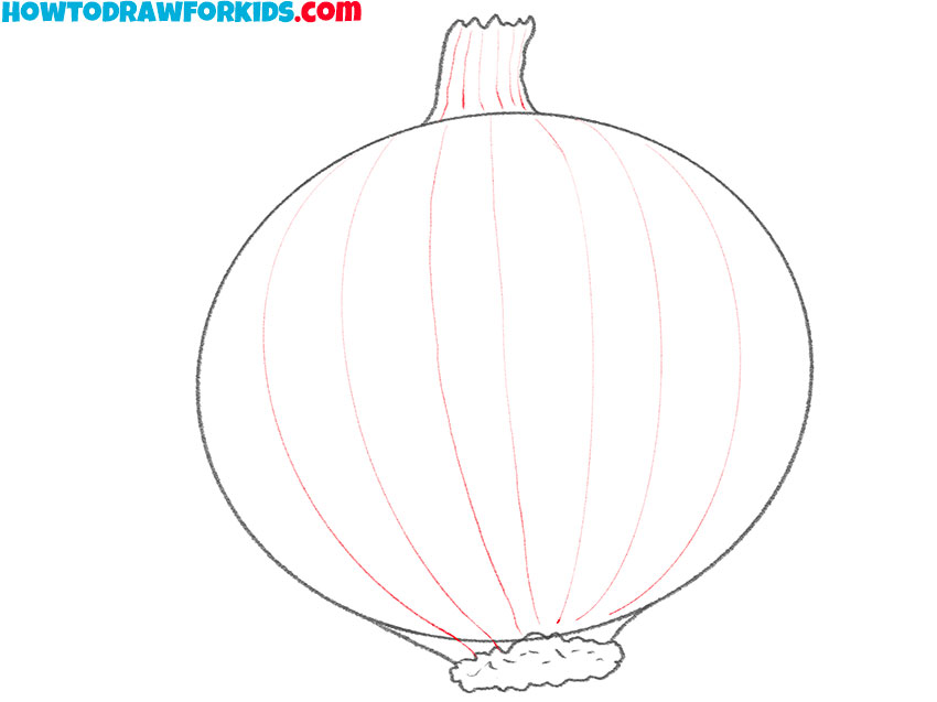 how to draw an onion for beginners