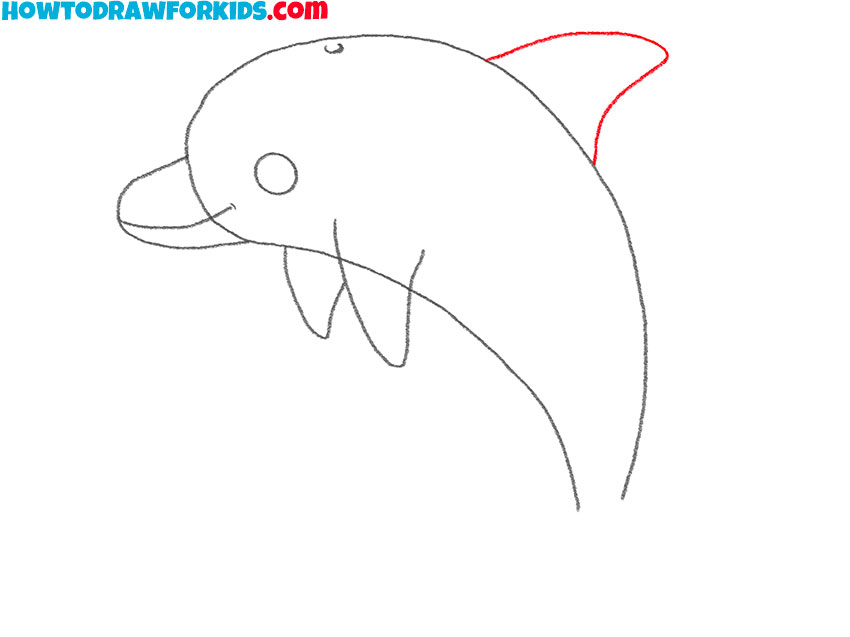 how to draw a dolphin realistic