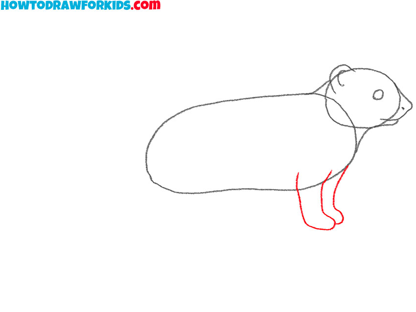 how to draw a mongoose for kids